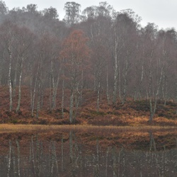 2018-11 Scotland/Aviemore/DSC_7644.JPG